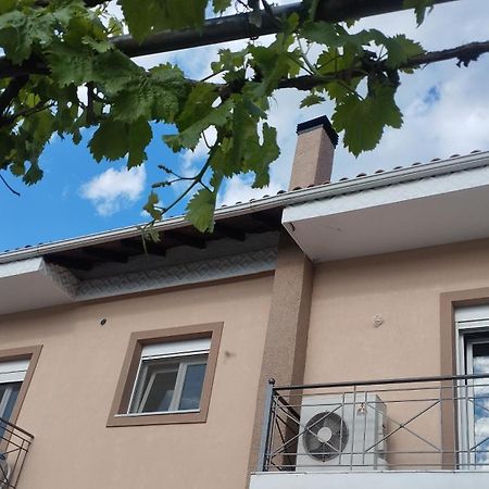 Voula Home -Ioannina-Neokesaria Esterno foto