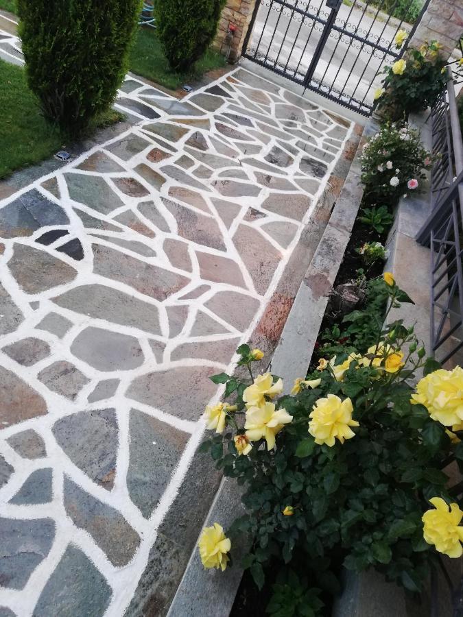 Voula Home -Ioannina-Neokesaria Esterno foto